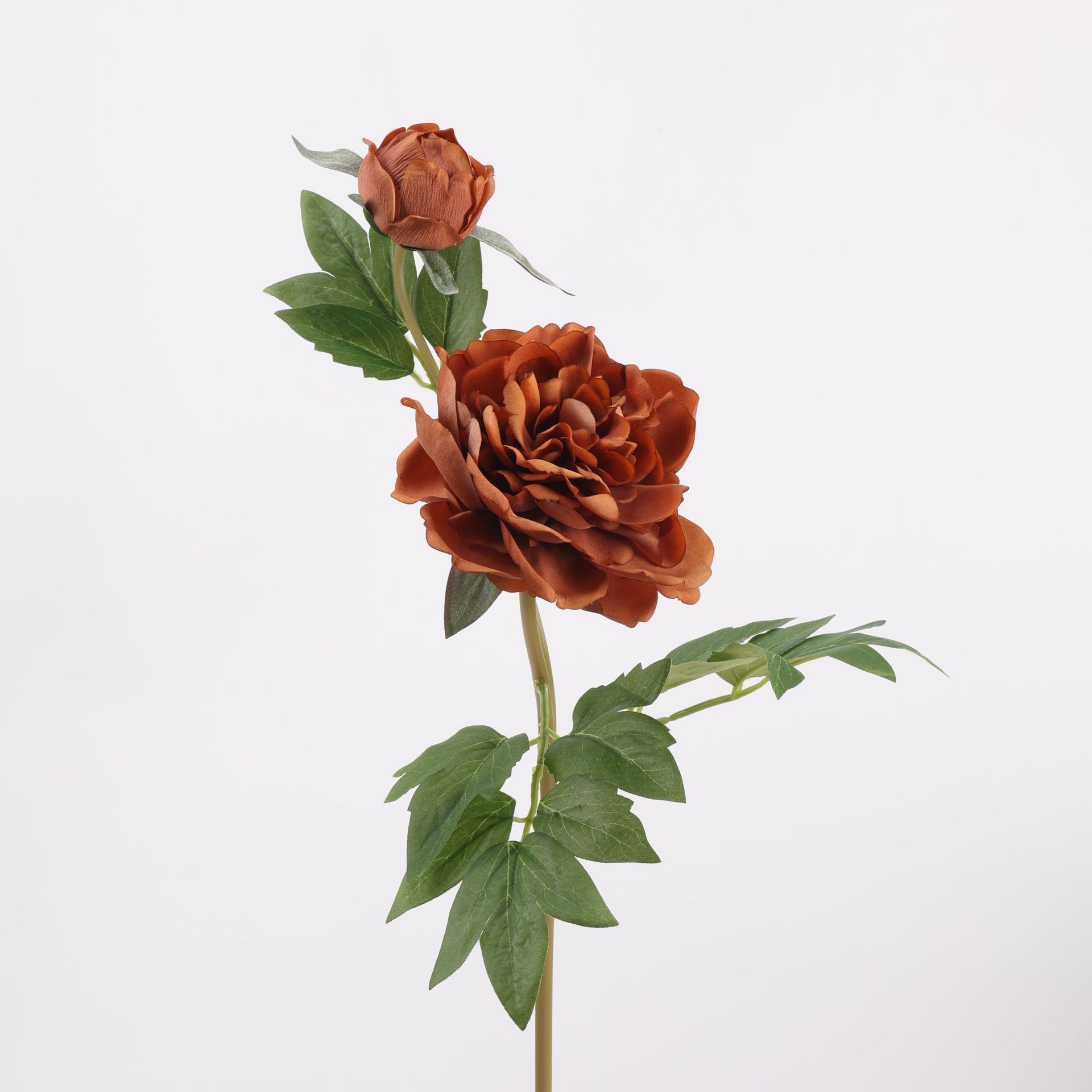 Pivoine Artificielle